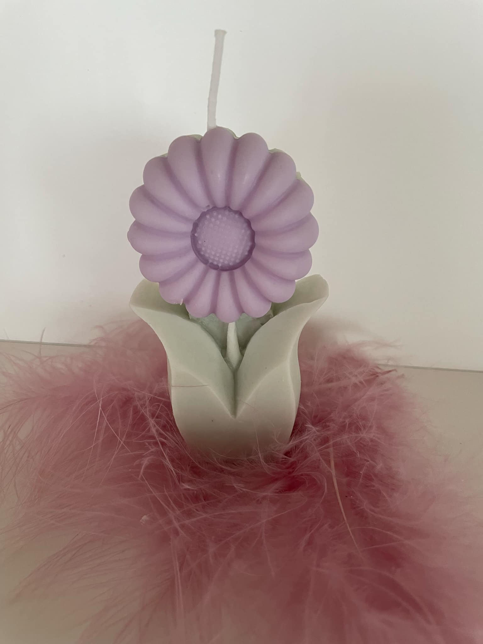 Bloem Madelief