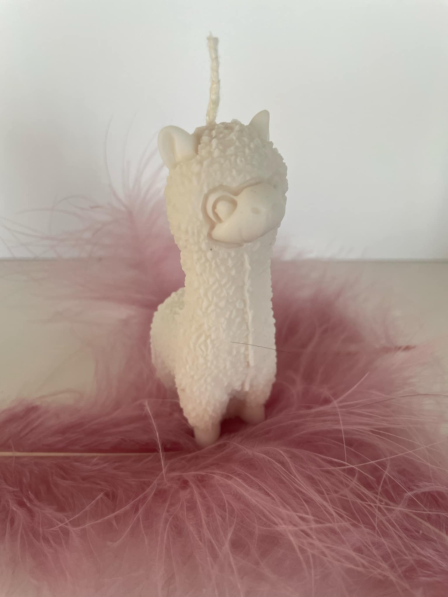 Alpaca